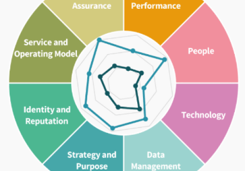 Organisational Health Check 
